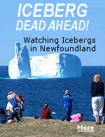 Iceberg Alley is on the east coast of Newfoundland, where about 800 of the 40,000 or so icebergs that originate in Greenland travel every year. Some are as big as countries. 